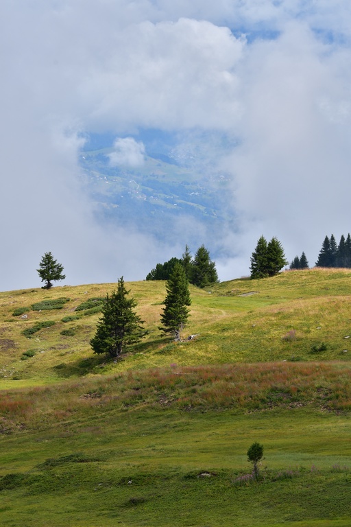 2019-08 Savoie/La Tuile/DSC_1229.JPG